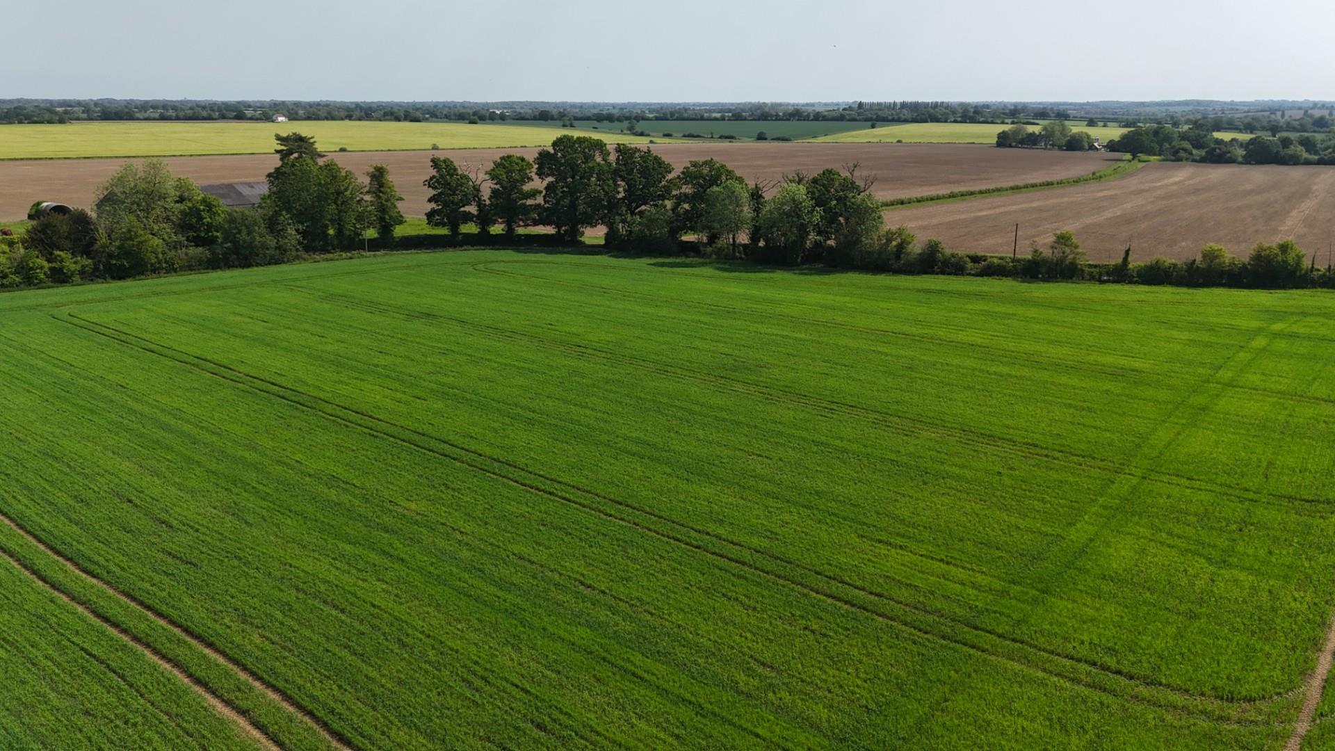 dji_fly_20260506_131014_0685_1779535955269_photo 2
